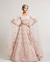 Blush Pink Floral Embroidered Lehenga with Sequin and Rhinestone Embellishment